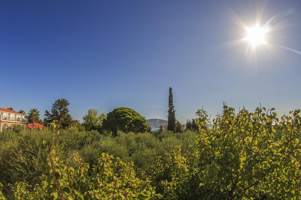 Olive Grove Apts Lithakia  Quarto foto