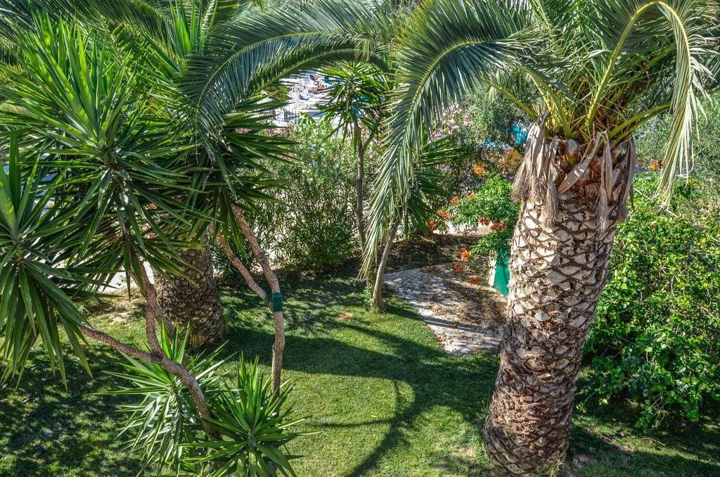 Olive Grove Apts Lithakia  Exterior foto