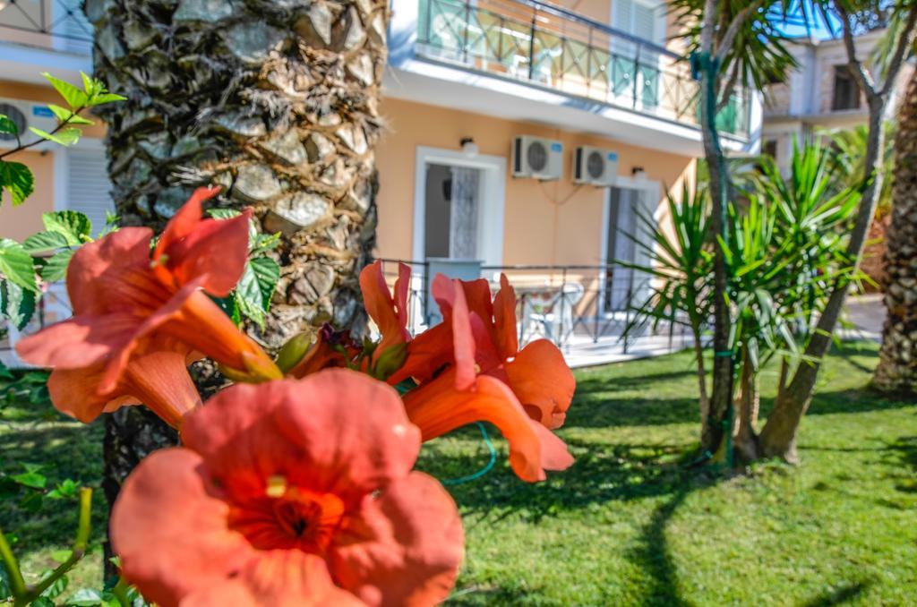 Olive Grove Apts Lithakia  Exterior foto